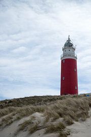 Vuurtoren van Wendy Bierings