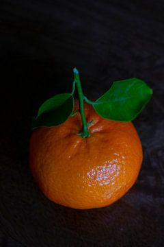 Mandarin von Doortje Kwakkel