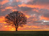 A new dawn