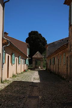 Southern France by Yara Terpsma