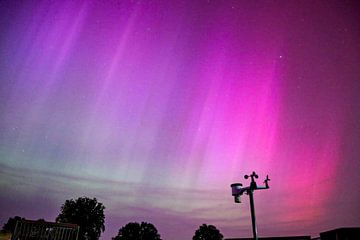 Stralend noorderlicht in roze zuilen