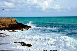 Nach dem Sturm von Rosina Schneider