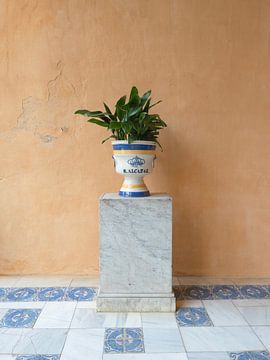 Sevilla Architectuur met Groen Minimalistische Reisfotografie van Dagmar Pels