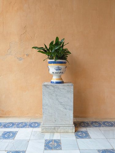 Sevilla Architektur mit Begrünung Minimalistische Reisefotografie von Dagmar Pels