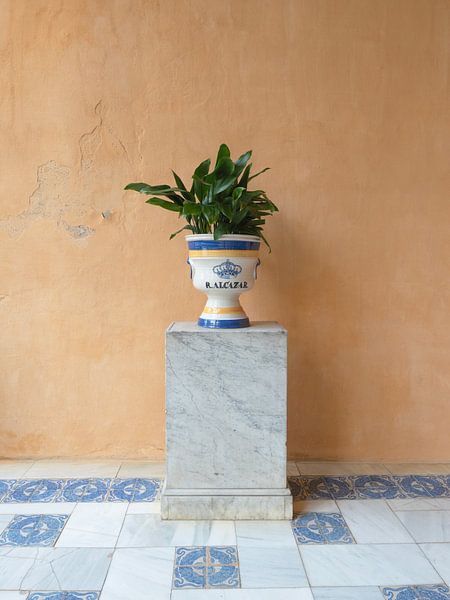 Seville Architecture with Greenery Minimalist Travel Photography by Dagmar Pels
