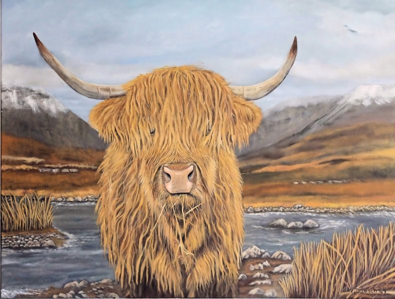 Bétail des Highlands par Veronika Metasch