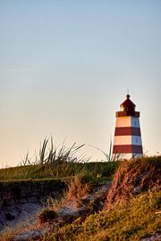 Alnes lighthouse rising above the dunes by qtx