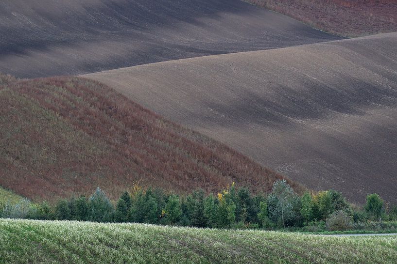Abstrakte Linien in der mährischen Landschaft von Anges van der Logt