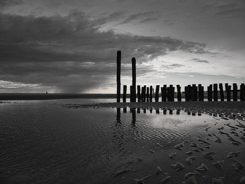 Breakwaters of Flushing