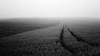 Minimalistisch landschap in Frankrijk (zwartwit) van Tjitte Jan Hogeterp thumbnail