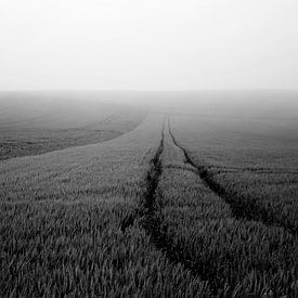 Minimalistisch landschap in Frankrijk (zwartwit) van Tjitte Jan Hogeterp