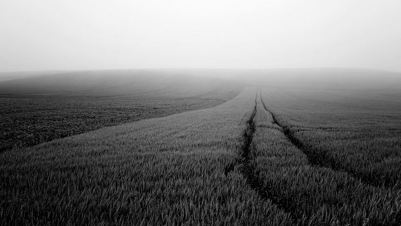 Minimalistisch landschap in Frankrijk (zwartwit) par Tjitte Jan Hogeterp