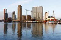 Rijnhaven met uitzicht op de Wilhelminapier