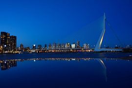 reflectie erasmusbrug, rotterdam