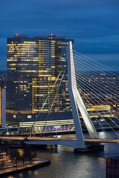 Erasmus Bridge in the evening by Prachtig Rotterdam