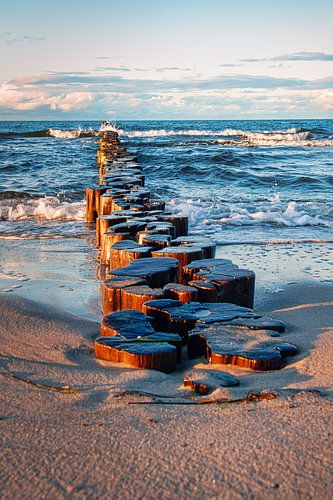 Kribben die in de Oostzee in Zingst reiken.