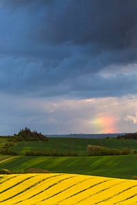 Regenbogenwolke über rollender Landschaft.  von Mark Scheper