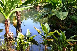 Splash by F.A.L.K.E. photography and art