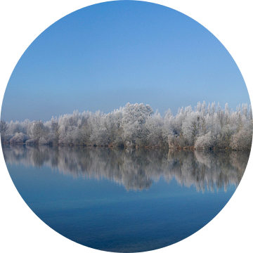 Panoramisch uitzicht op een meer in de winter met bomen en rijp. van Hans-Heinrich Runge