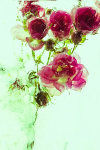 Kleine Rose in Eis 2 Grün