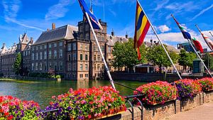 Politics The Hague
