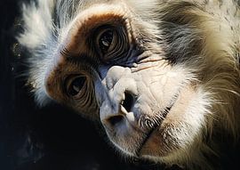 Chimpansee Portret Kunst | Doordringende Blik