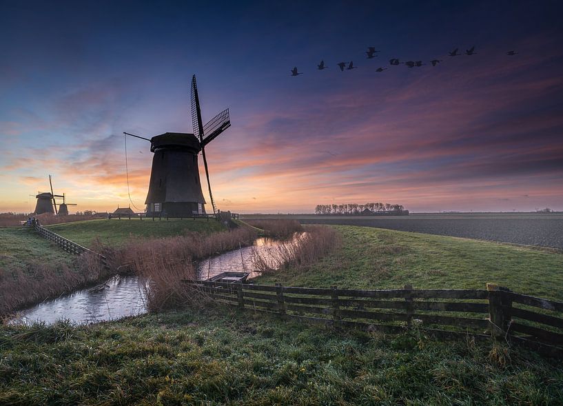 Schermer mills at sunrise by peterheinspictures