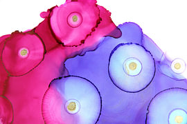 Pink and Purple Circles – Abstract Alcohol Ink Art with Gold Accents by Joke Gorter