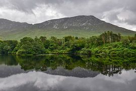 Connemara, Ireland - I by Jarne Buttiens