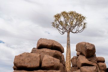giants playground 2 von grossberger.photo
