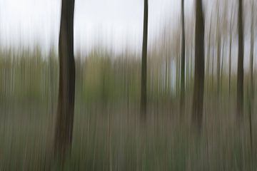 Moving trees by Jaco Verheul