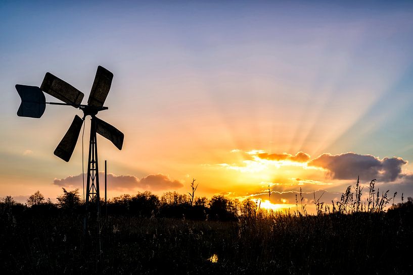 Alte Bewässerungswindmühle in den Weerribben von Sjoerd van der Wal Fotografie