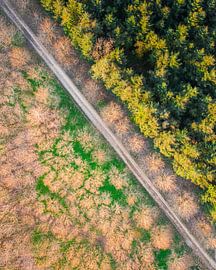 Towpdown trees by Marc Slagter