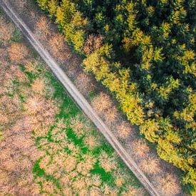 Towpdown trees van Marc Slagter