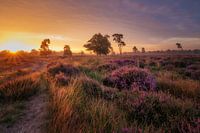 lever de soleil aux Pays-Bas