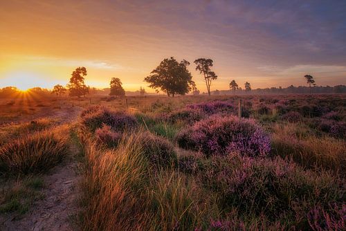 Sonnenaufgang in den Niederlanden