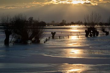 Spiegelend zonlicht op de bevroren uiterwaarden, Oosterbeek van Arjan Vrieze