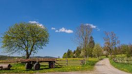 Lentekleuren in het Sauerland von Henk Goossens
