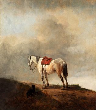 The horse on top of the mountain