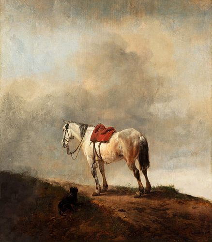 Le cheval au sommet de la montagne