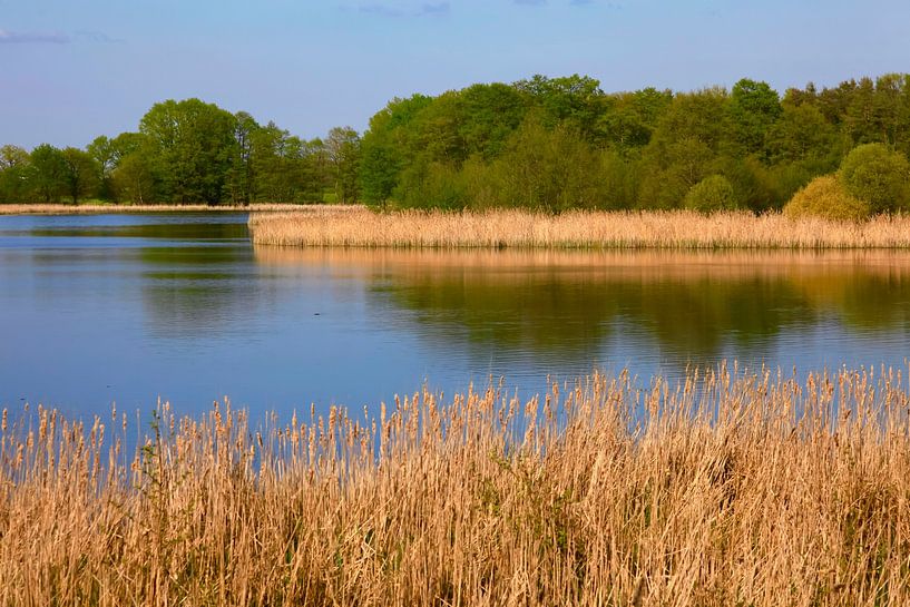 Frühlingsabend von Thomas Jäger