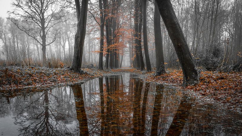 Tussen herfst en winter van Peter Korevaar