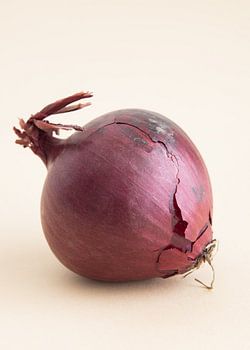 Porträt einer roten Zwiebel