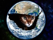 Kat in de wereld van Studio Mirabelle thumbnail
