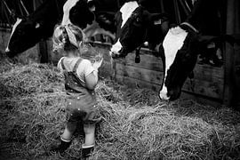 Girl among cows by Lyssanne Ponsteen-Willems