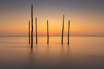 Cannes à pêche sur la mer des Wadden près de Zurich