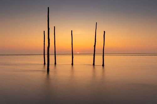 Visstokken op het Wad bij Zurich