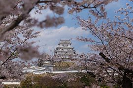 Kasteel Himeji von Schram Fotografie