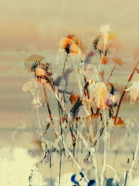 The Fields LXVI by Zand