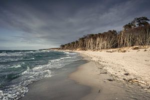Weststrand VII
